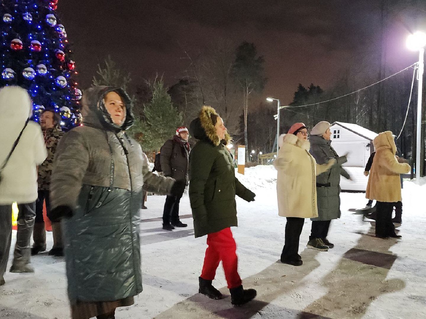 новый год, 2024 год, парки подмосковья, видное, праздник,