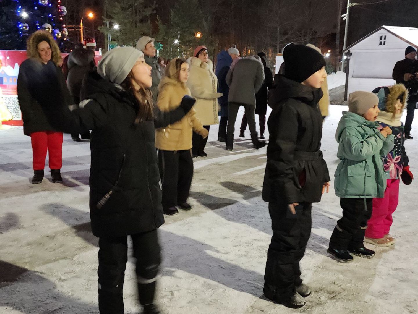 новый год, 2024 год, парки подмосковья, видное, праздник,