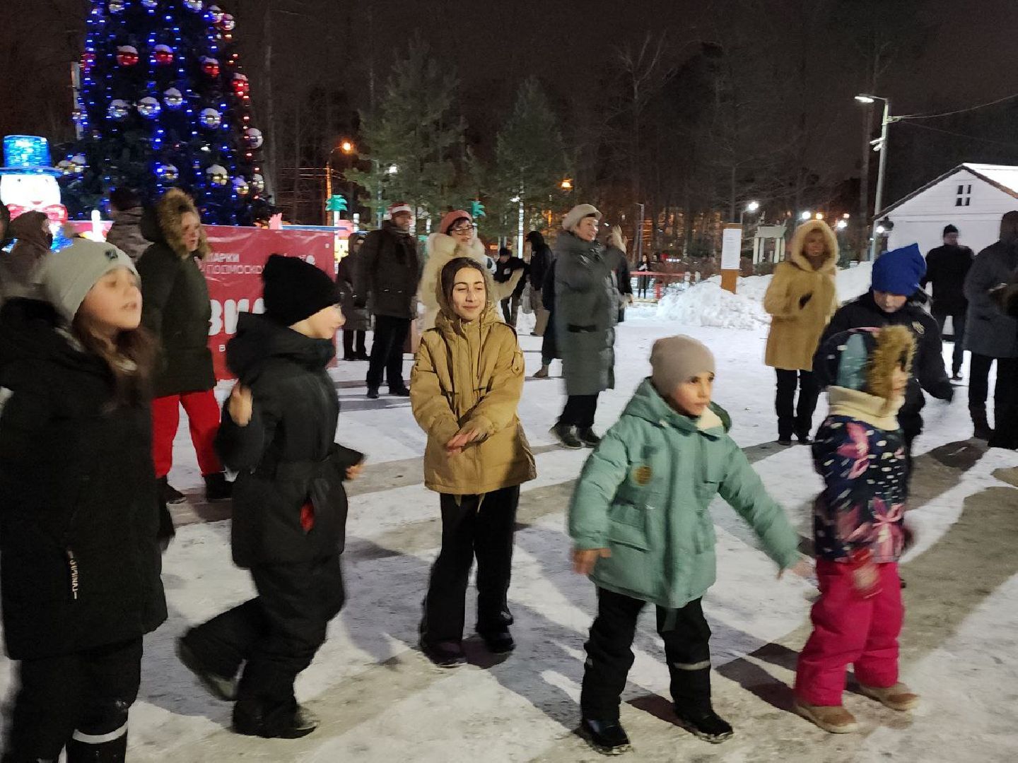 новый год, 2024 год, парки подмосковья, видное, праздник,