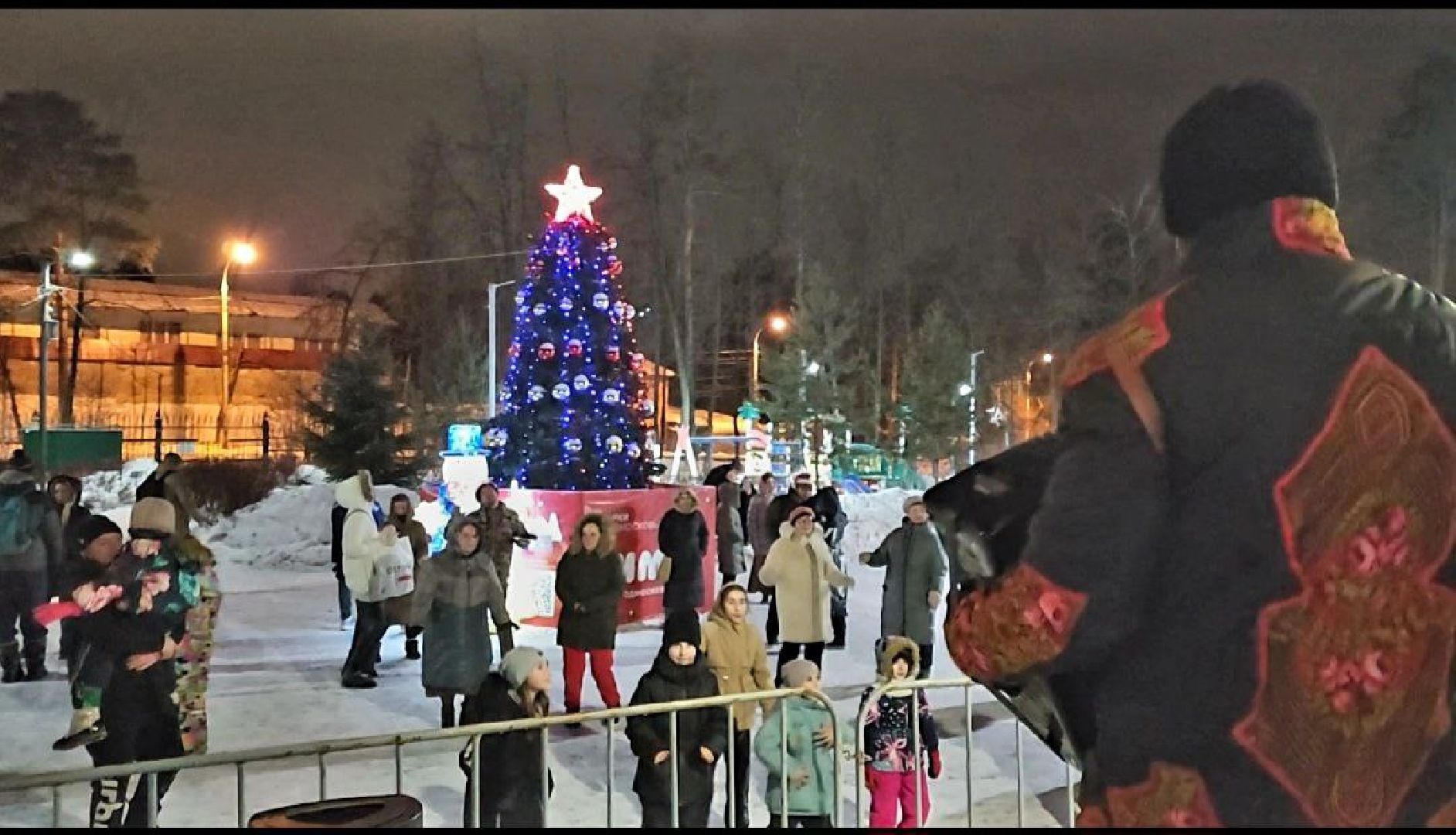 новый год, 2024 год, парки подмосковья, видное, праздник,