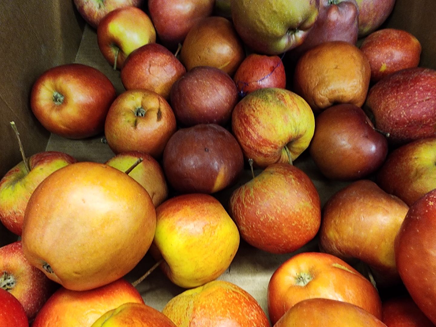 шатура, зож, правильное питание, новый год, 2024, городской округ люди,