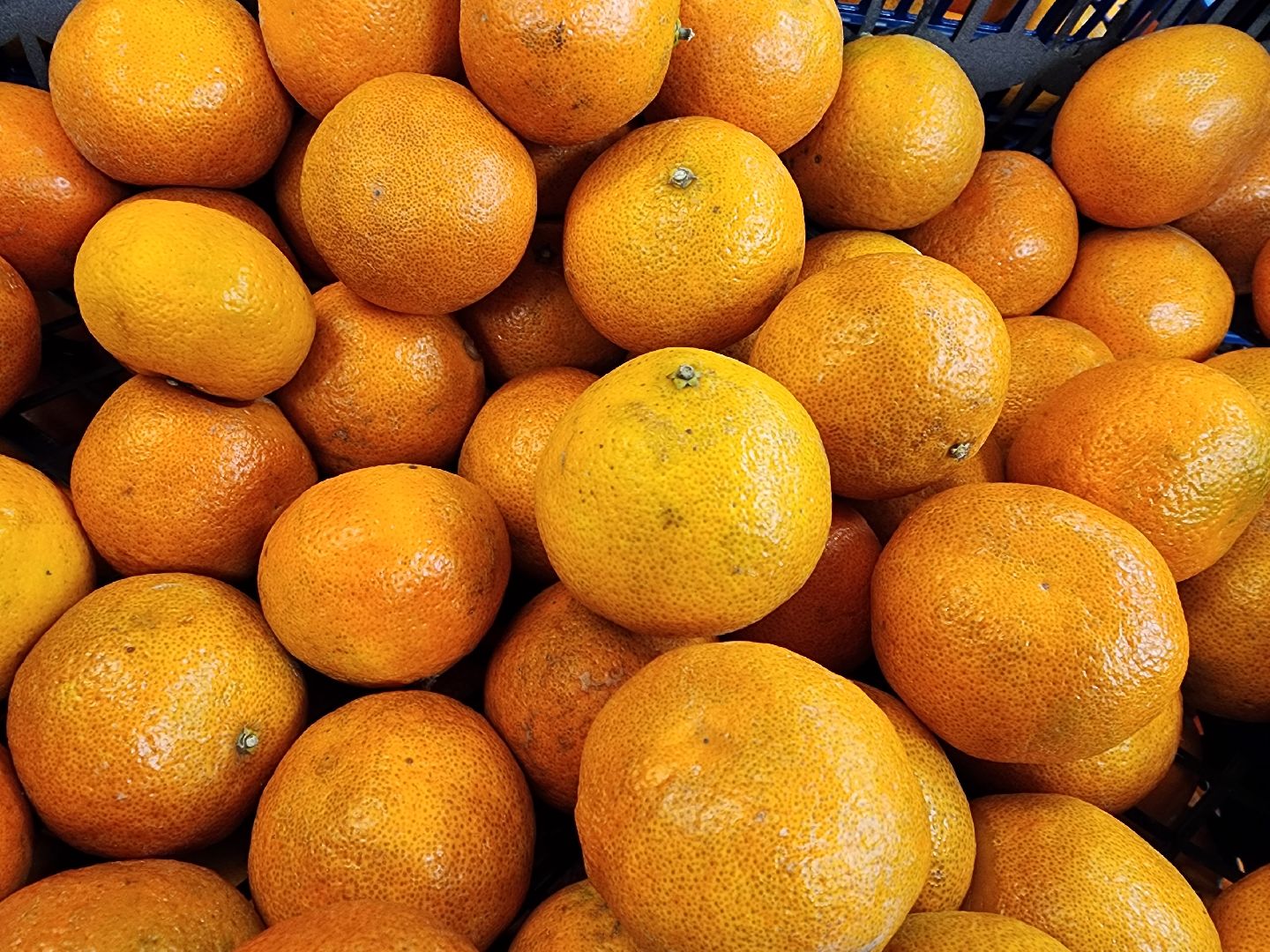 шатура, зож, правильное питание, новый год, 2024, городской округ люди,