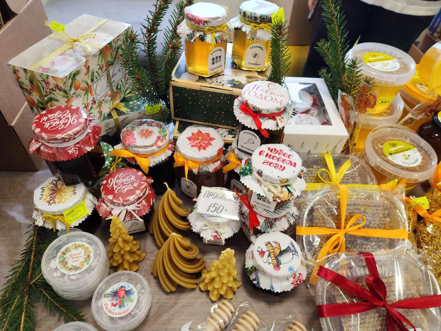 шатура, зож, правильное питание, новый год, 2024, городской округ люди,