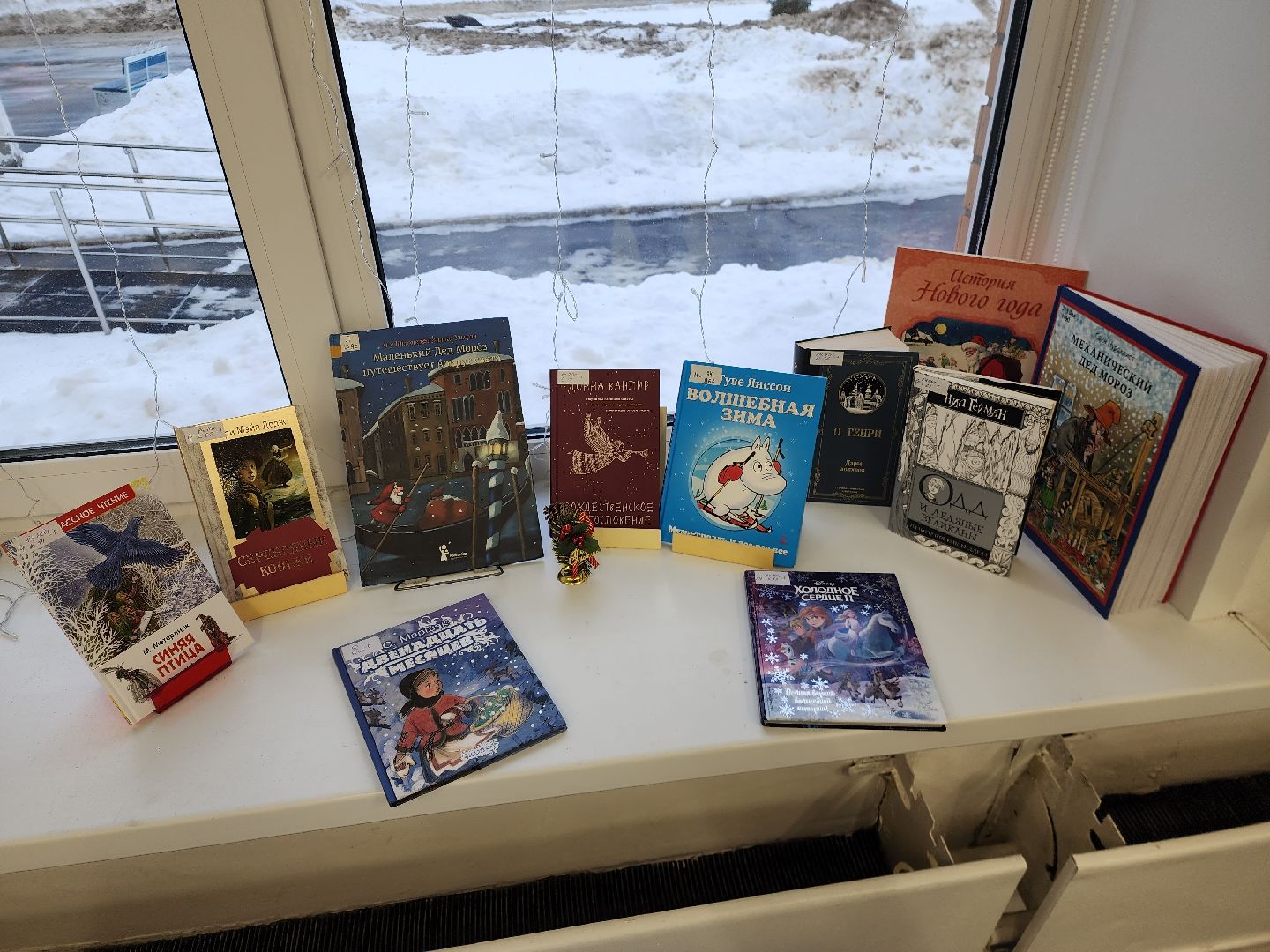 шатура, библиотека, библиотекарь, рейтинг, книги, чтение, городской округ люди, городской округ культура,