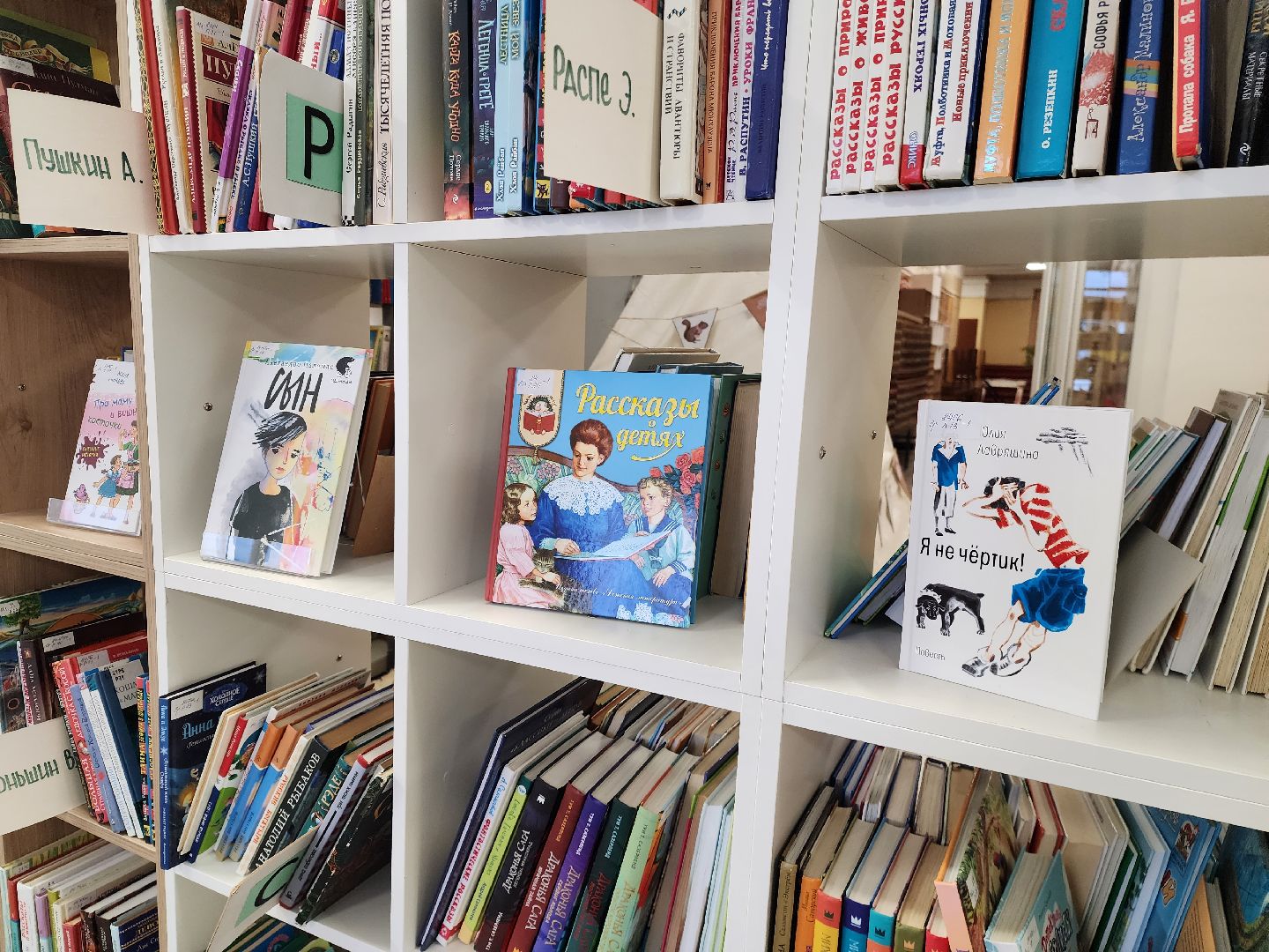 шатура, библиотека, библиотекарь, рейтинг, книги, чтение, городской округ люди, городской округ культура,