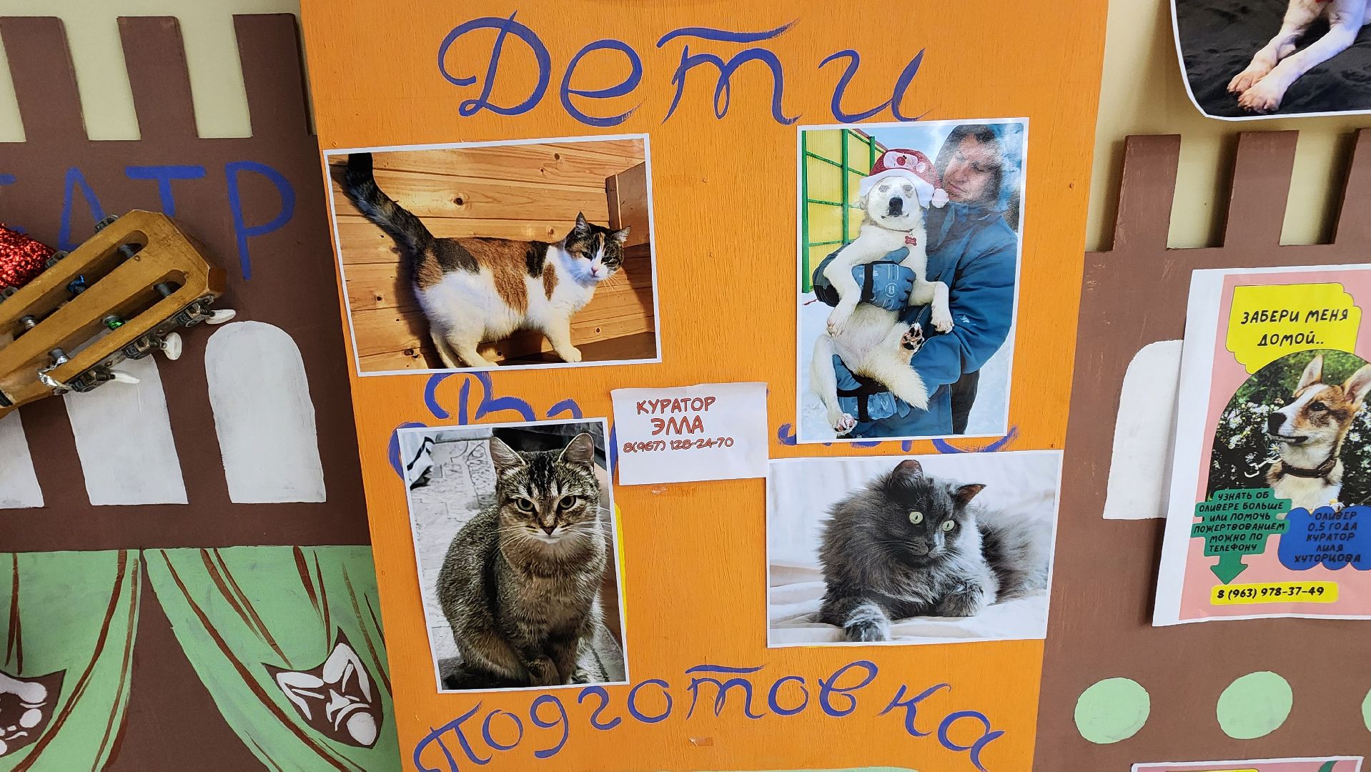 Солнечногорск, Активное долголетие, Животные, благотворительая акция, Марафон,