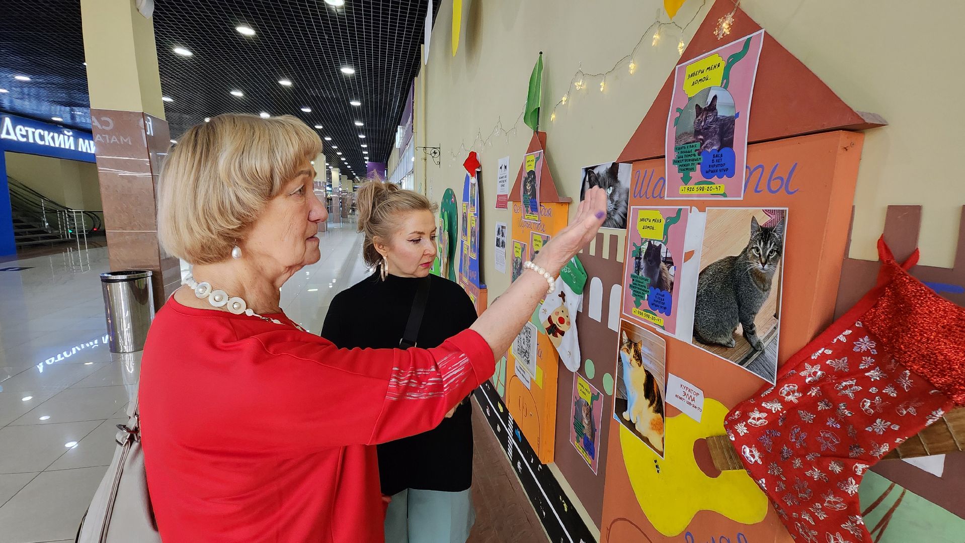 Солнечногорск, Активное долголетие, Животные, благотворительая акция, Марафон,