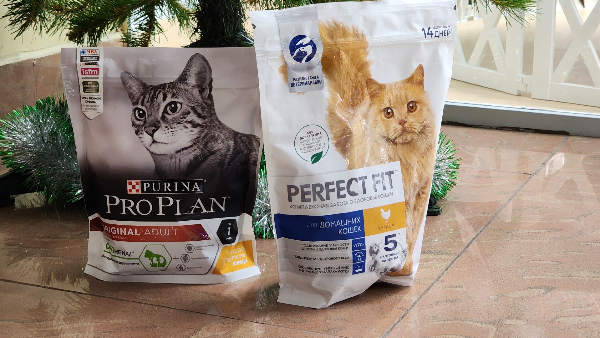 Солнечногорск, Активное долголетие, Животные, благотворительая акция, Марафон,