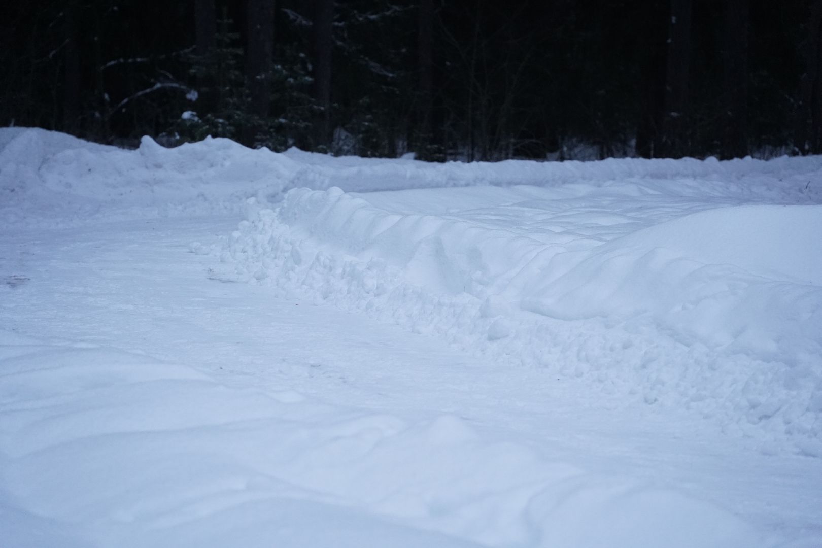 Рошаль, волонтер, лесные дорожки, прогулки в лесу, Большая Шатура,