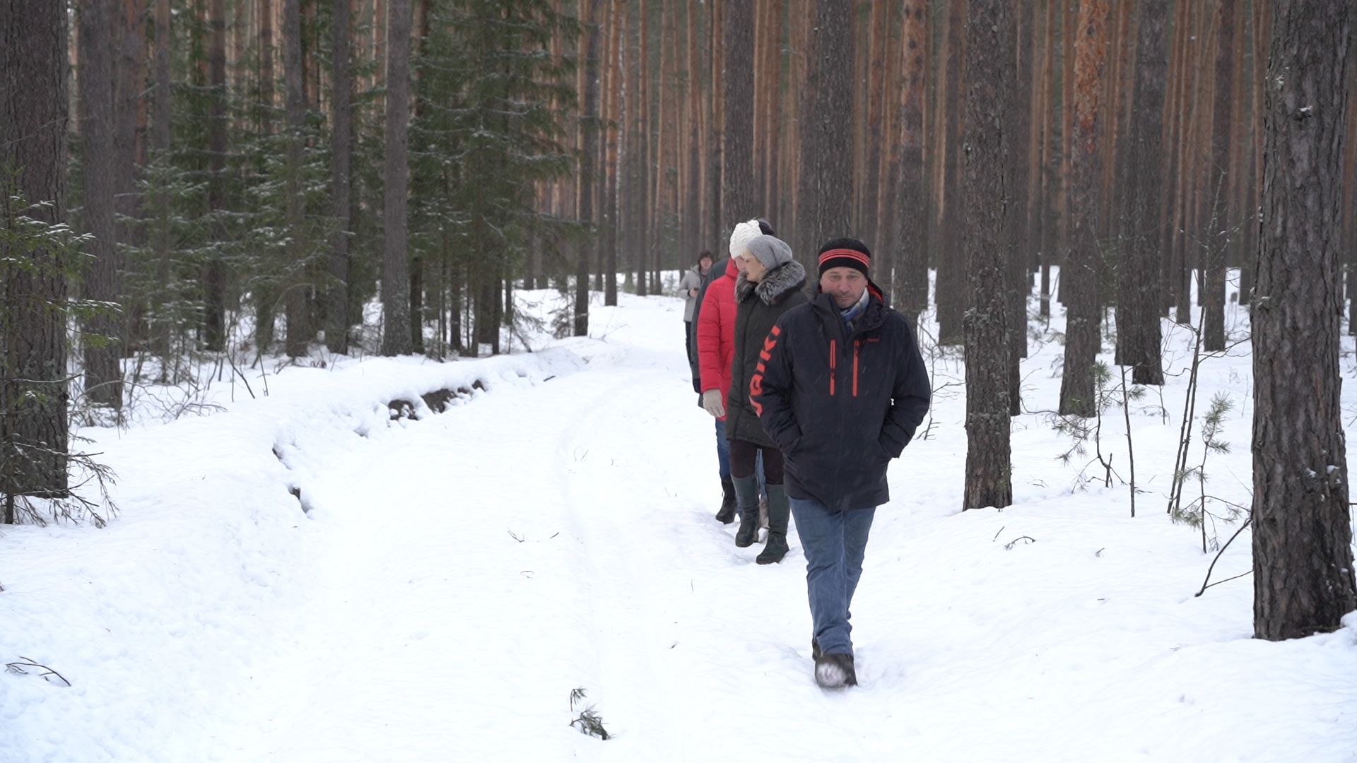Рошаль, волонтер, лесные дорожки, прогулки в лесу, Большая Шатура,