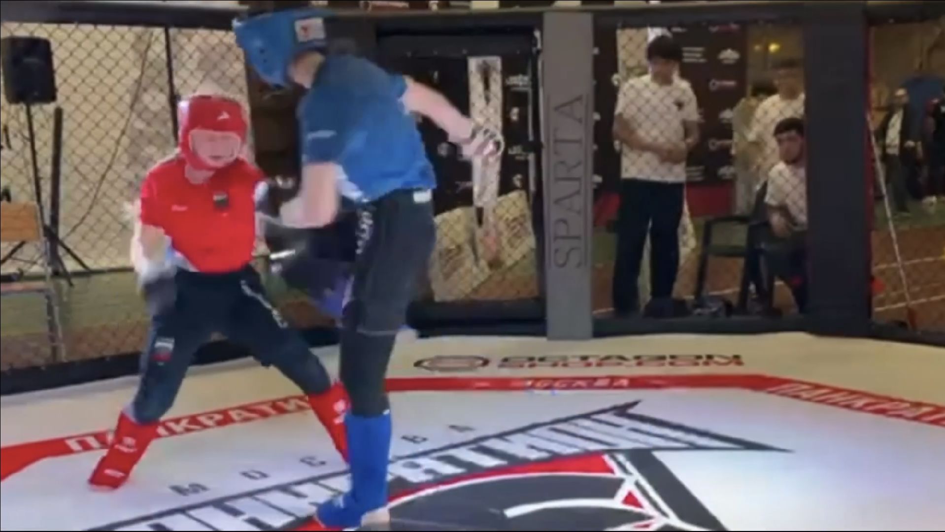 волоколамск, спорт, панкратион, чемпион, спорт подмосковья, спортивная школа,