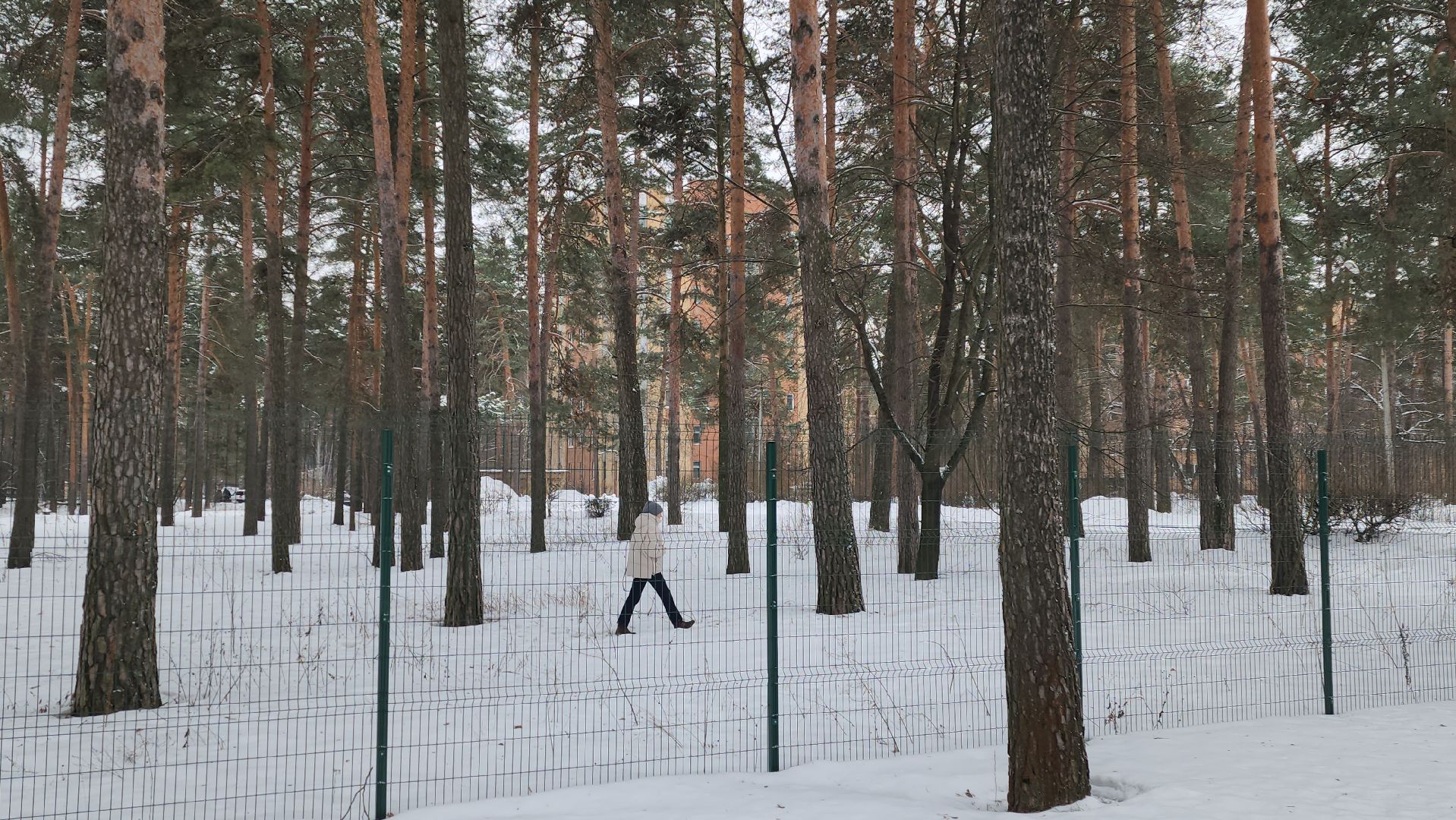 Новый год, травма, итоги, госпитализация, инфаркт, инсульт, Хабазов,