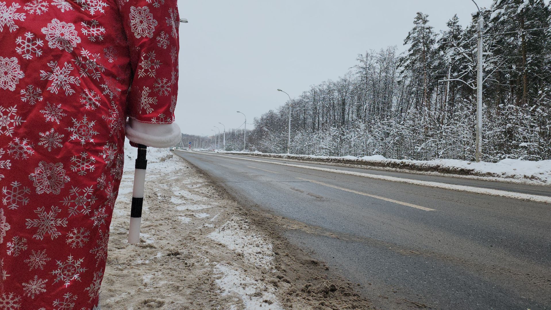 Трезвый водитель, госавтоинспекция, Егорьевск, Подмосковье, Московская область,