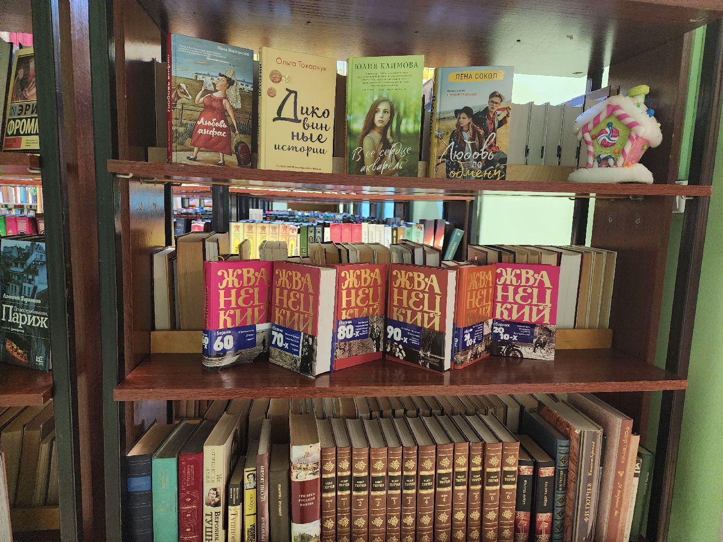 Долгопрудный, центральная библиотека, книги, музыка, классика, Клеменси Бертон-Хилл,