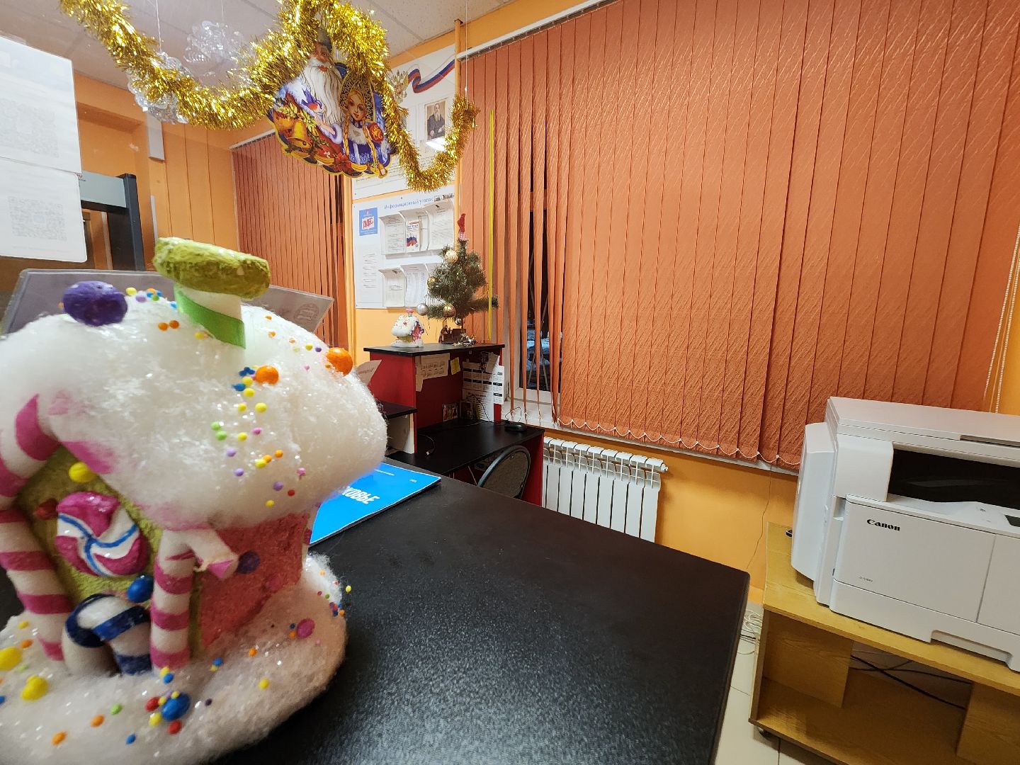 Долгопрудный, центральная библиотека, книги, музыка, классика, Клеменси Бертон-Хилл,