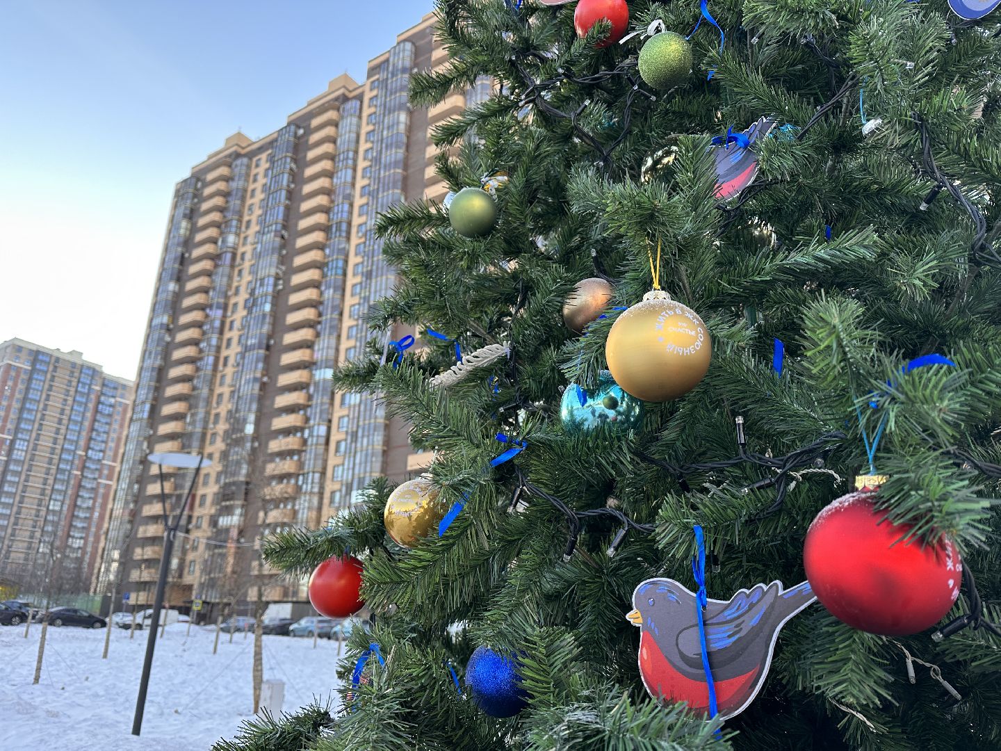 Одинцово, Сквер Союзный, парки подмосковья, зима в подмосковье,