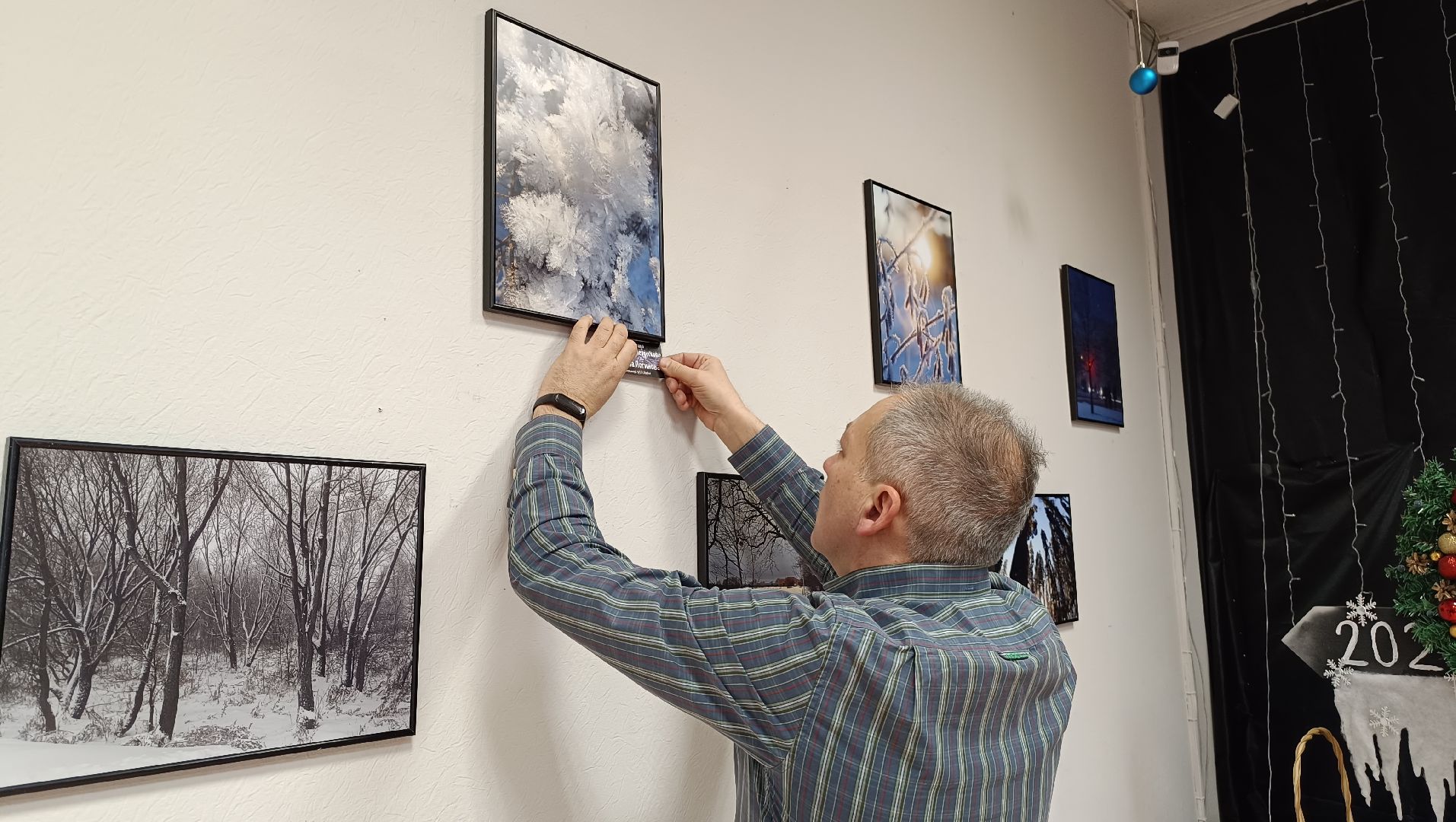 фотография, выставка, зима, библиотека,