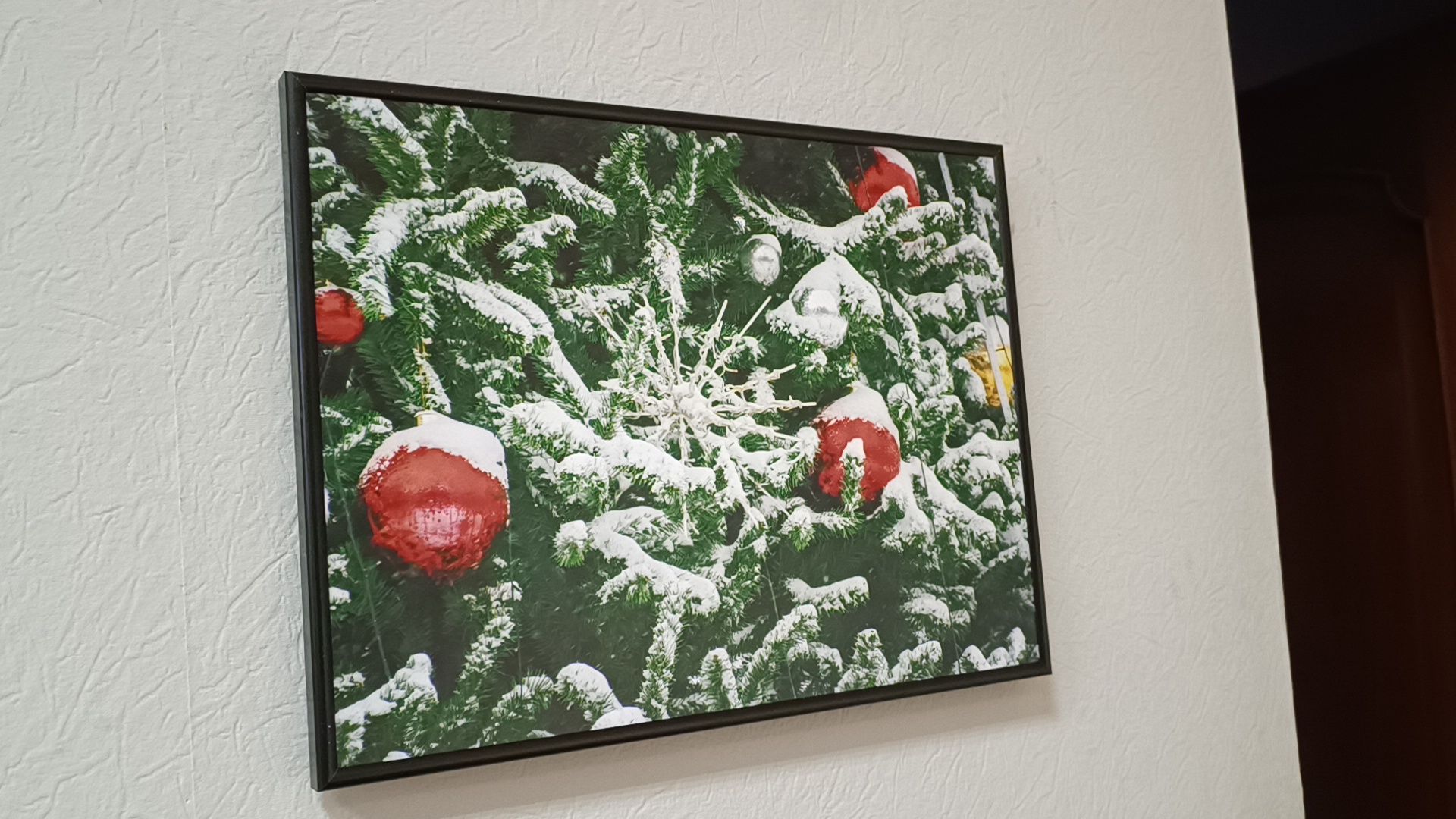 фотография, выставка, зима, библиотека,