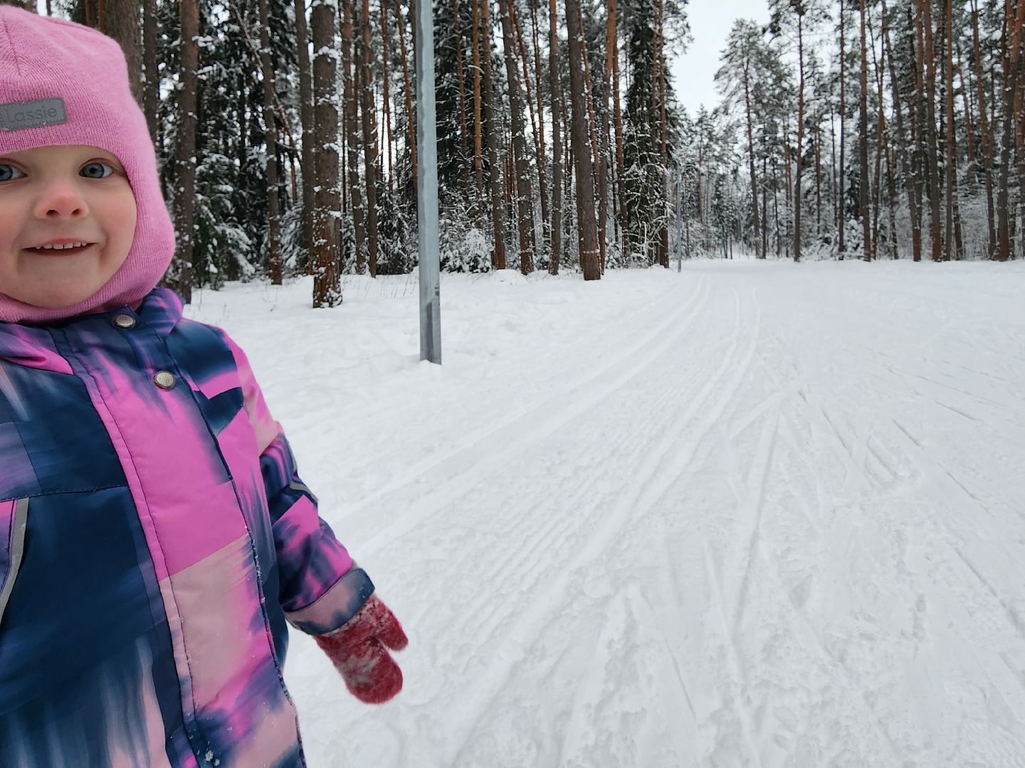 лыжная трасса, Егорьевск, Подмосковье, московская область,