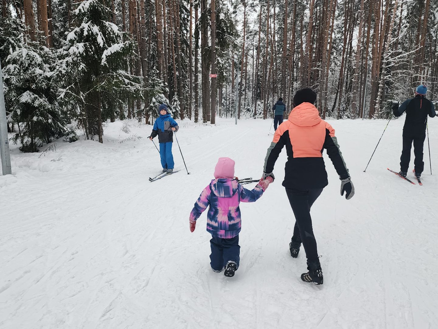 лыжная трасса, Егорьевск, Подмосковье, московская область,