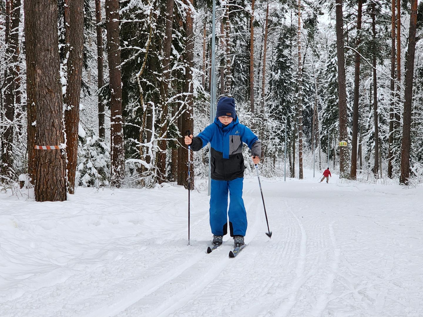 лыжная трасса, Егорьевск, Подмосковье, московская область,