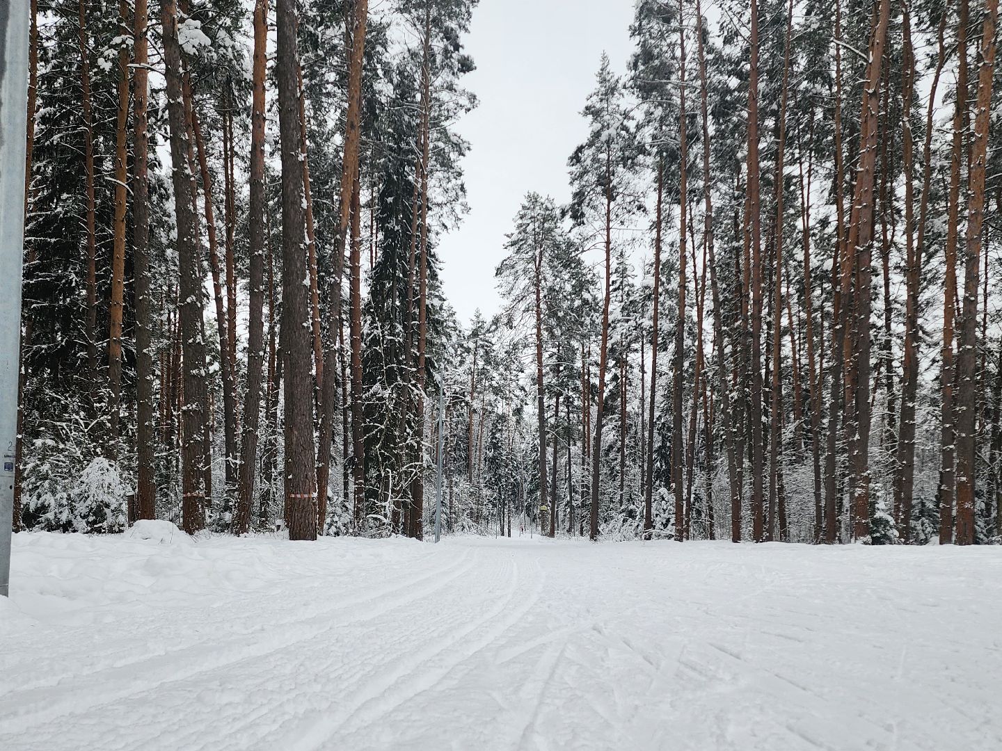 лыжная трасса, Егорьевск, Подмосковье, московская область,