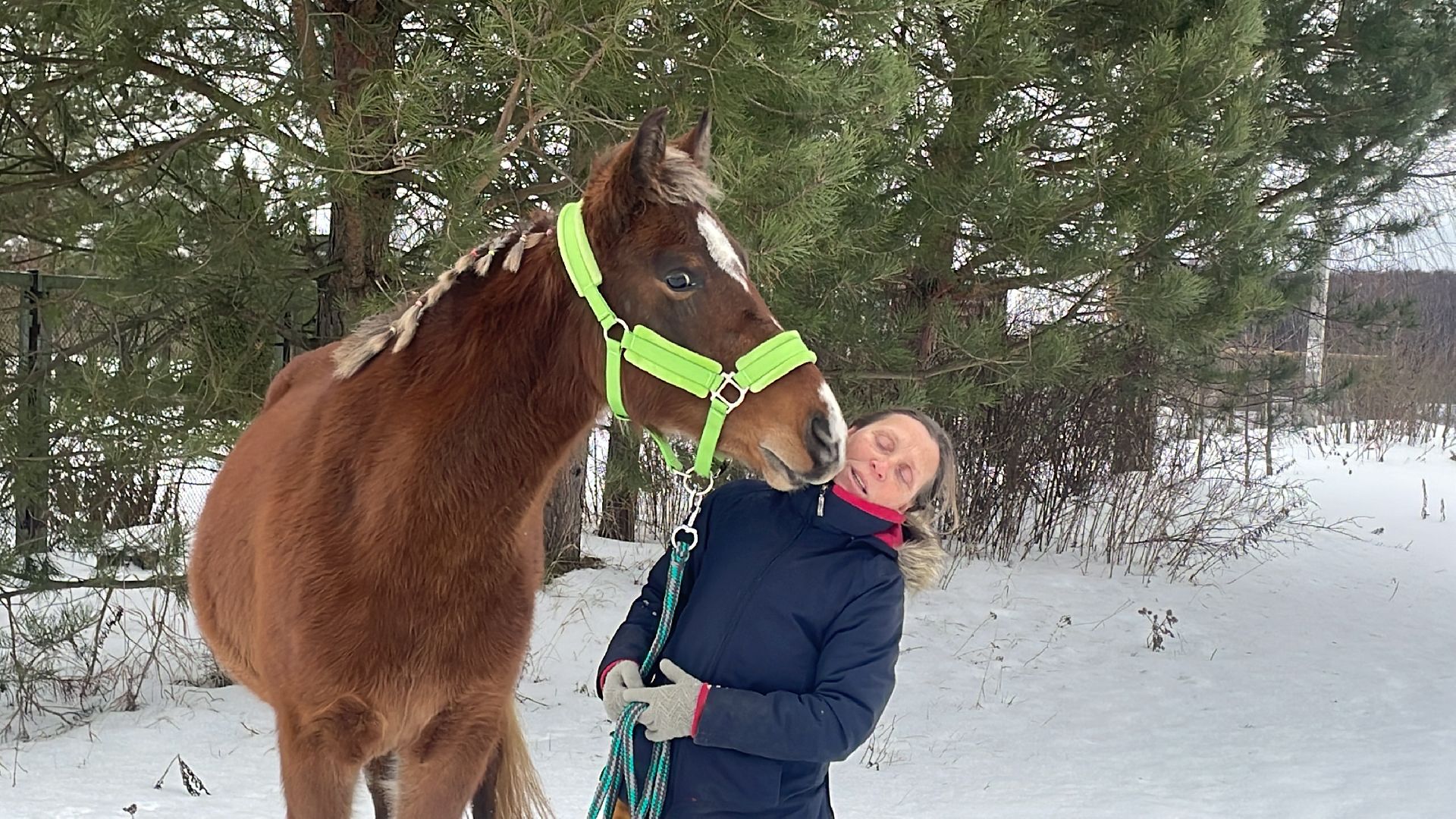 Волоколамск, спасли лошадь,