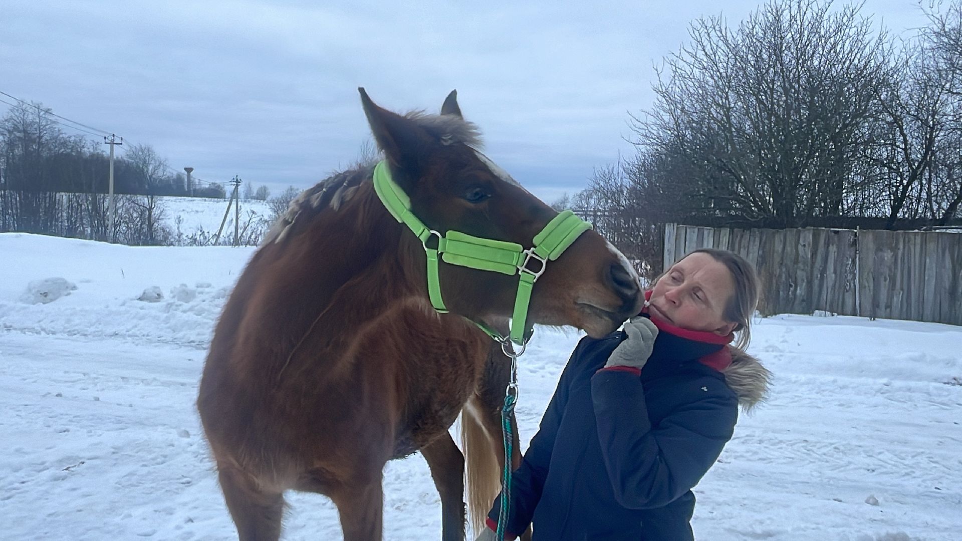 Волоколамск, спасли лошадь,