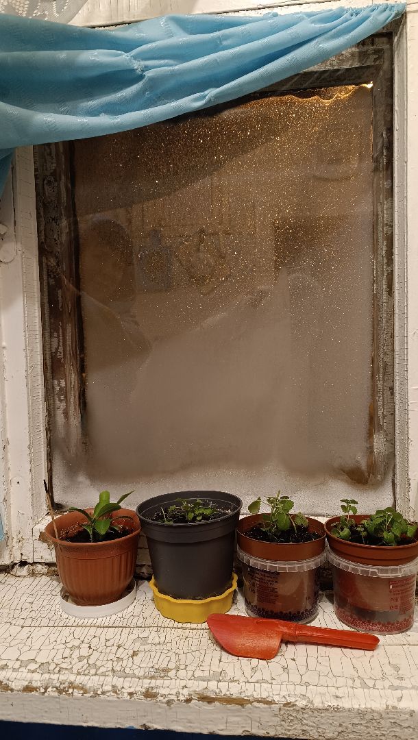 жкх, отопление, зима,