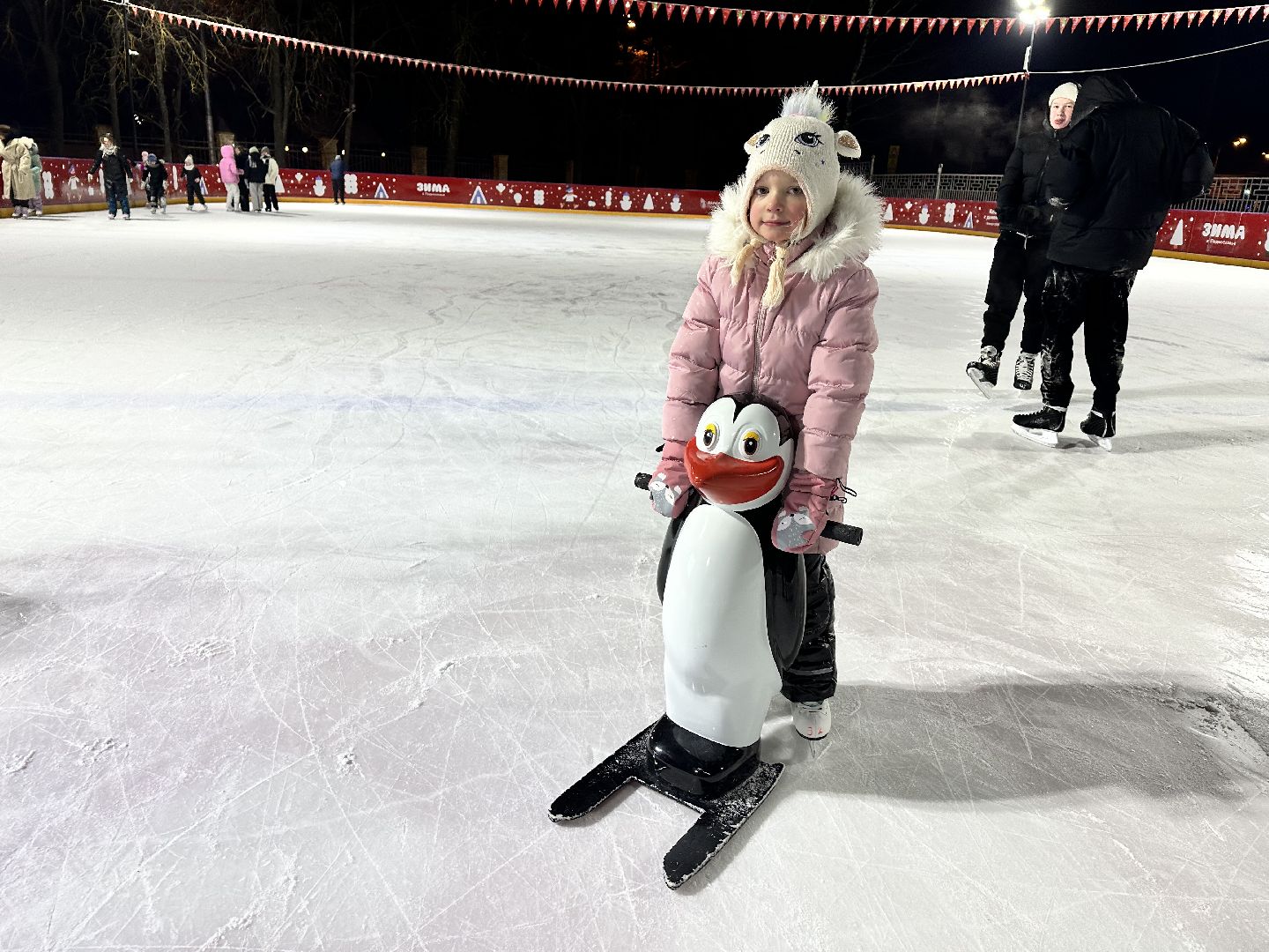 каток в парке, наро-фоминск,