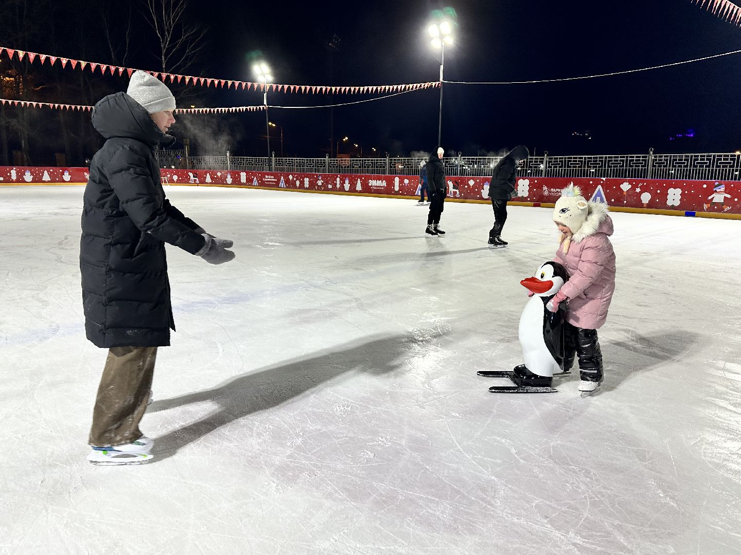 каток в парке, наро-фоминск,