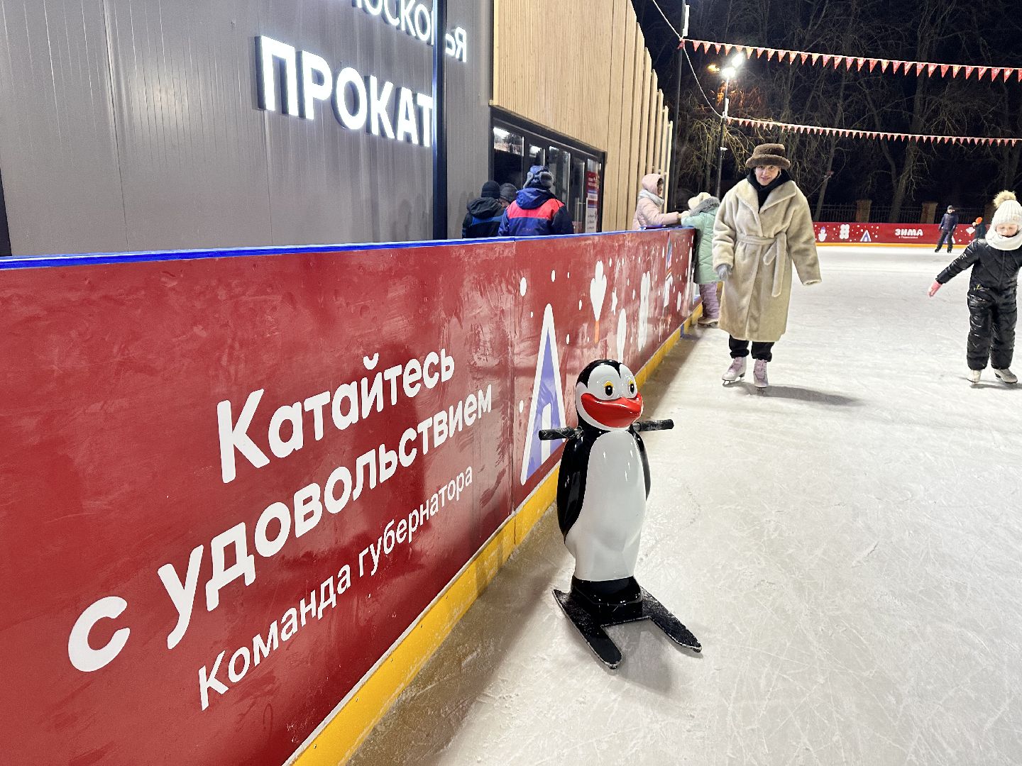 каток в парке, наро-фоминск,