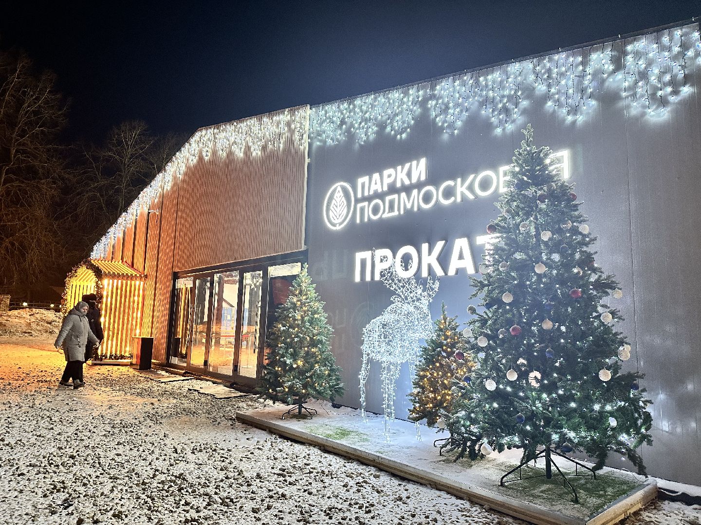 каток в парке, наро-фоминск,