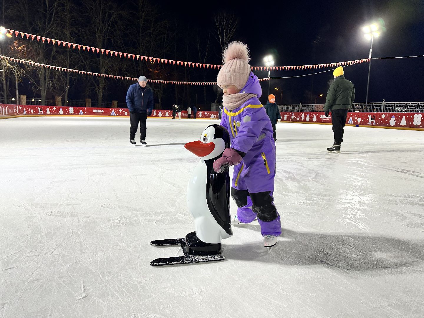 каток в парке, наро-фоминск,