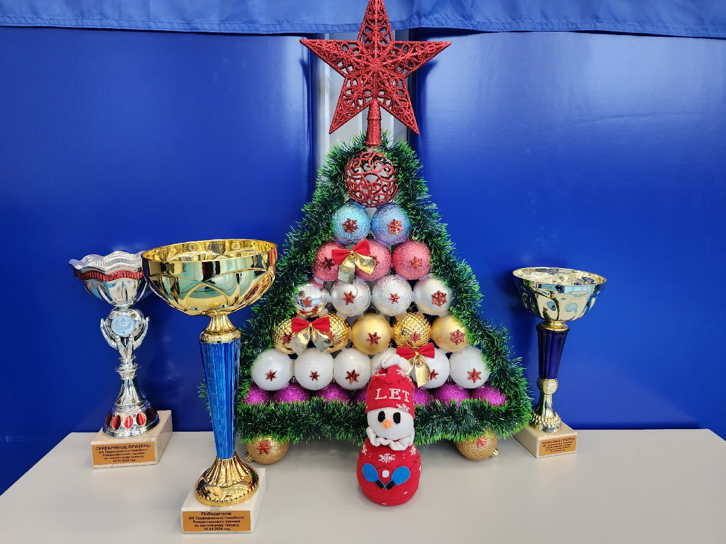 рождество, турнир, семья,