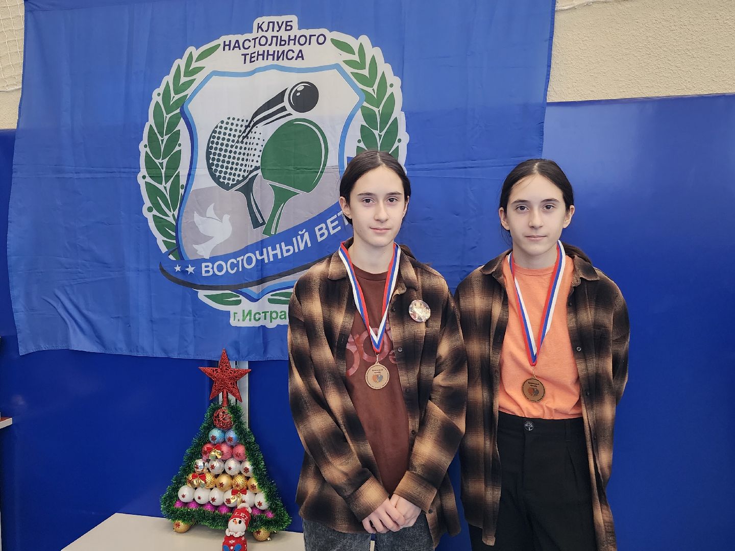 рождество, турнир, семья,