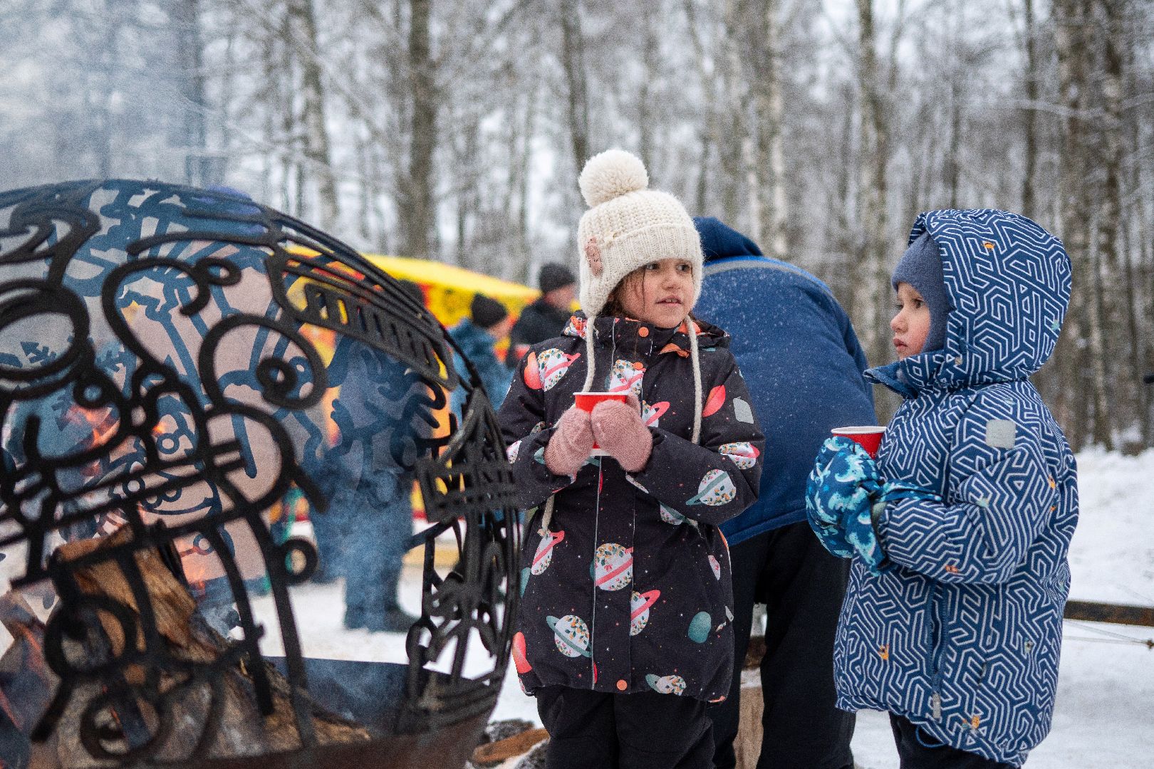 Егорьевск, Парк, 200 лет Егорьевску, Праздник, праздник чудес, чудеса, новый год, рождество,