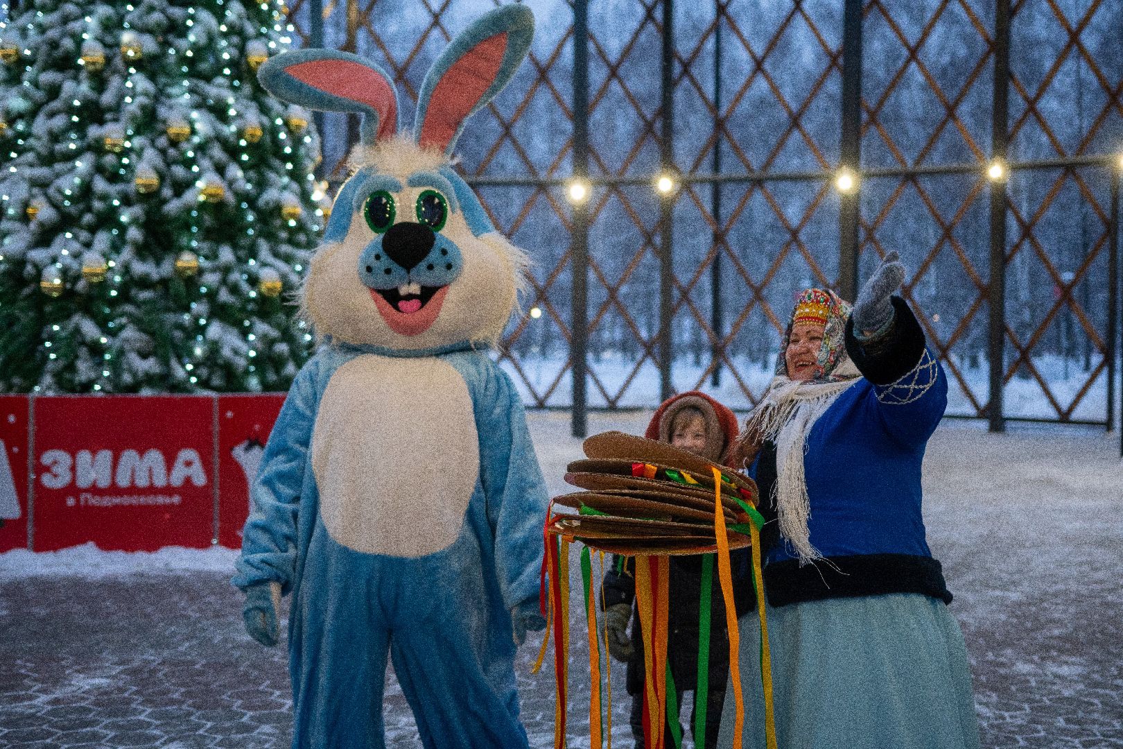 Егорьевск, Парк, 200 лет Егорьевску, Праздник, праздник чудес, чудеса, новый год, рождество,