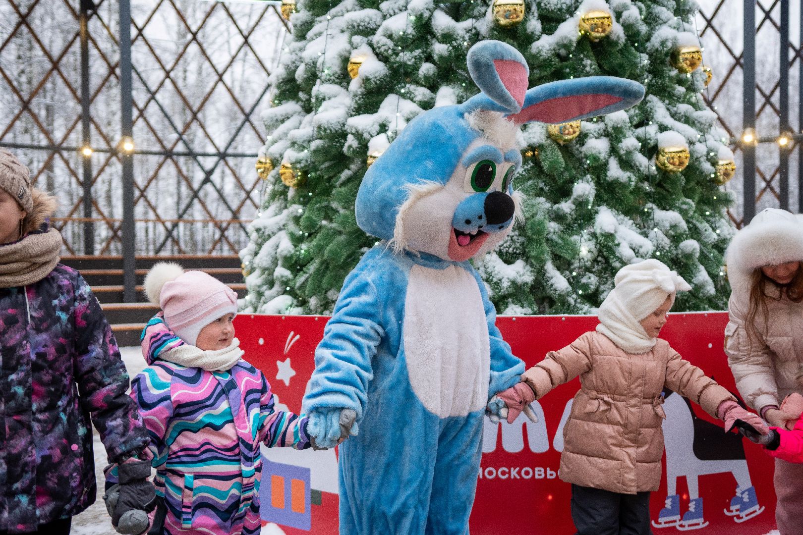 Егорьевск, Парк, 200 лет Егорьевску, Праздник, праздник чудес, чудеса, новый год, рождество,
