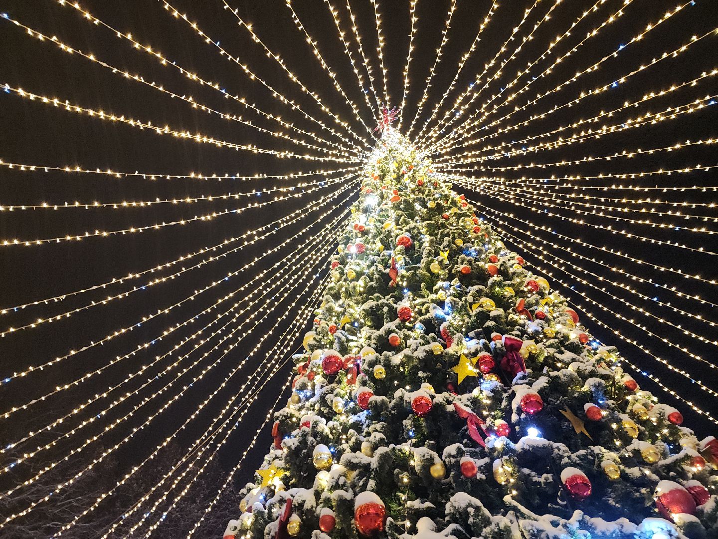 Коломна, Культура, религия, Рождество,