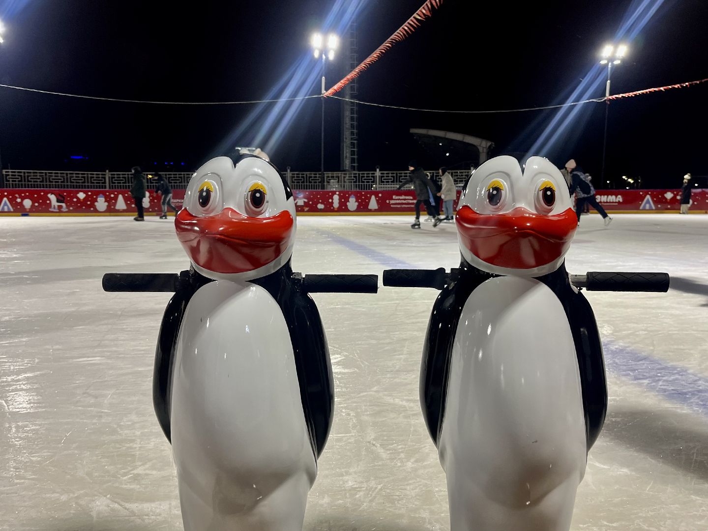 зима в подмосковье, наро-фоминск, наро-фоминский городской округ, центральный парк наро-фоминска, каток в парке, коньки,