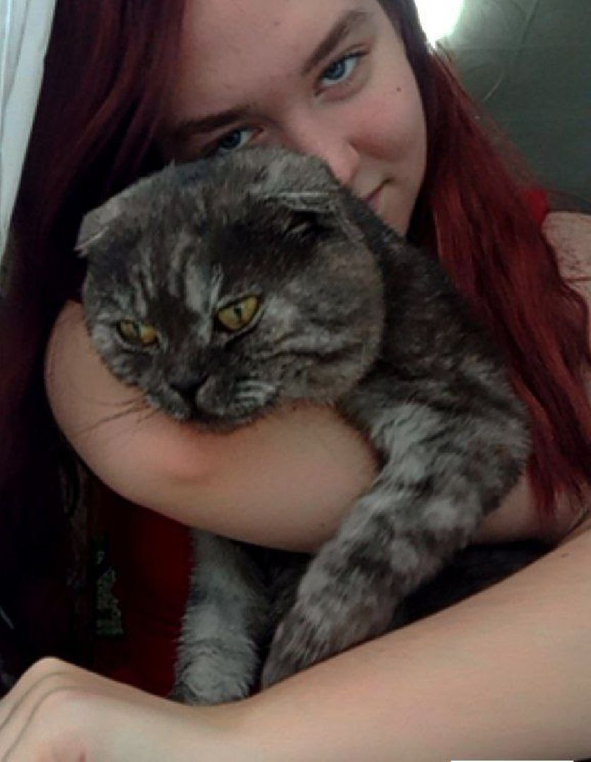 волоколамск, музыка, музыкальная школа, музыкальные инструменты, музыкальный конкурс, музыкант, диплом,