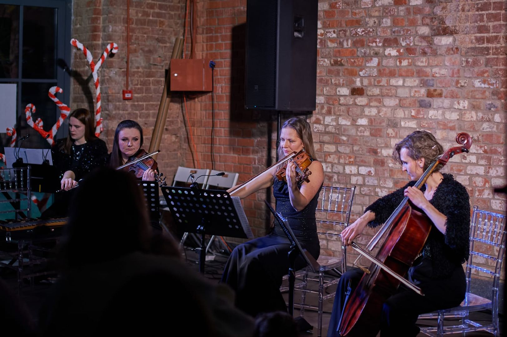 Концерт классической музыки, Арт-пространство Фабрик, рождественское чудо, наро-фоминск,