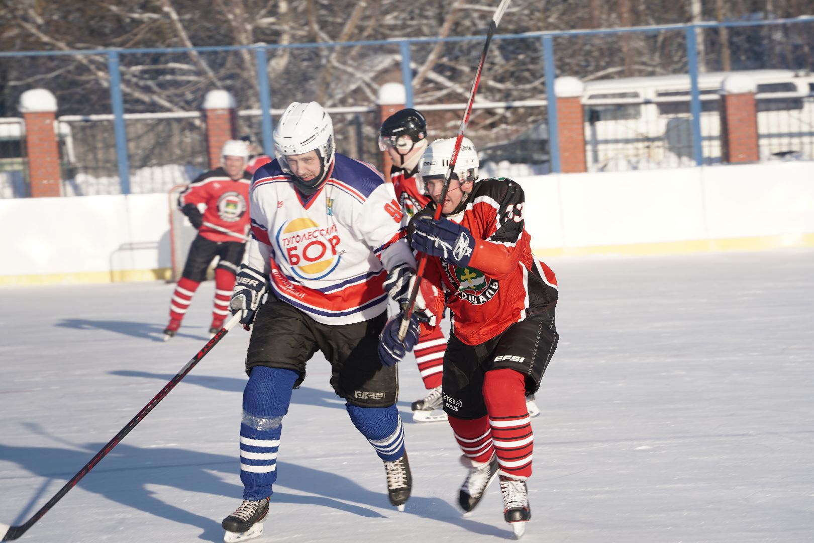 хоккей, чемпионат городского округа Шатура, Большая Шатура, Химик, Рошаль, Туголесский бор, спорт, зима в Подмосковье,