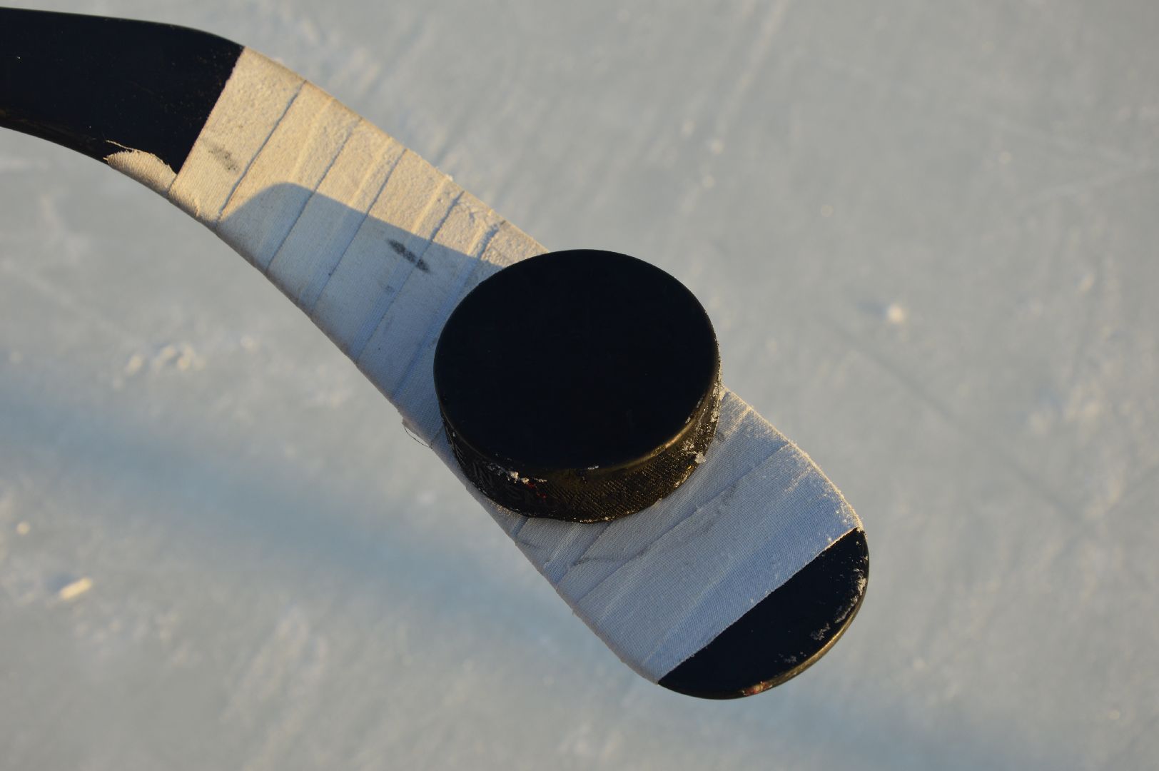 шатура, хоккей, живу спортом, турнир, турнир Шатура, городской округ спорт, городской округ люди, городской округ хоккей,