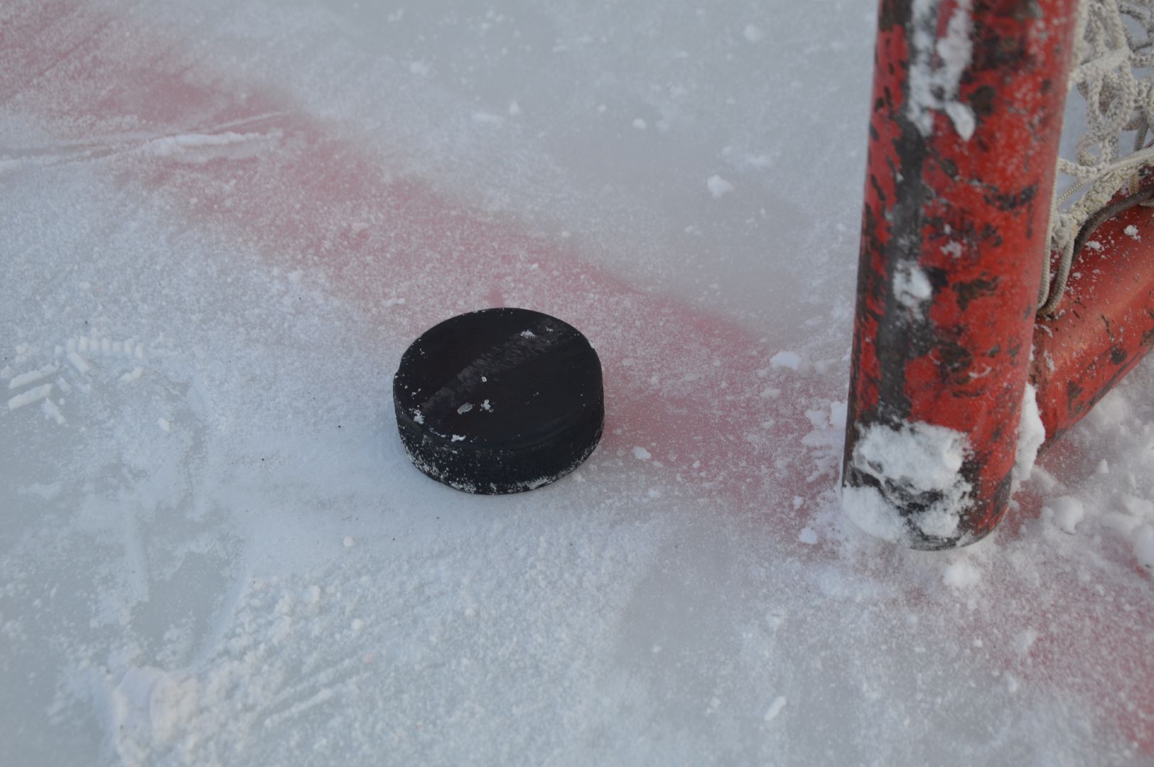 шатура, хоккей, живу спортом, турнир, турнир Шатура, городской округ спорт, городской округ люди, городской округ хоккей,