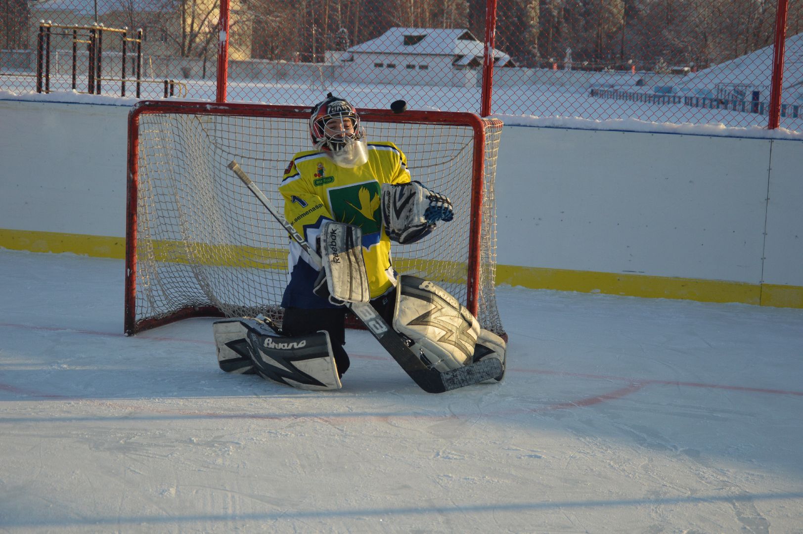 шатура, хоккей, живу спортом, турнир, турнир Шатура, городской округ спорт, городской округ люди, городской округ хоккей,