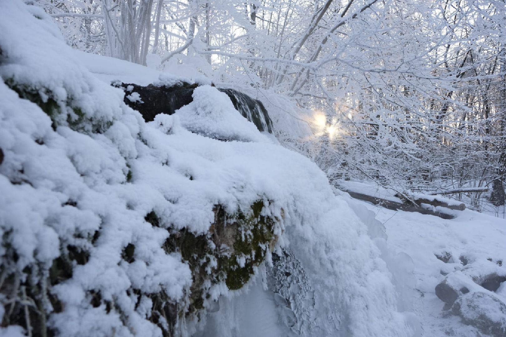 Пущино, экология, туризм, зима, подмосковье,