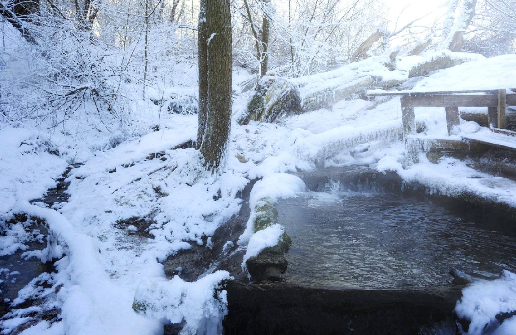 Пущино, экология, туризм, зима, подмосковье,