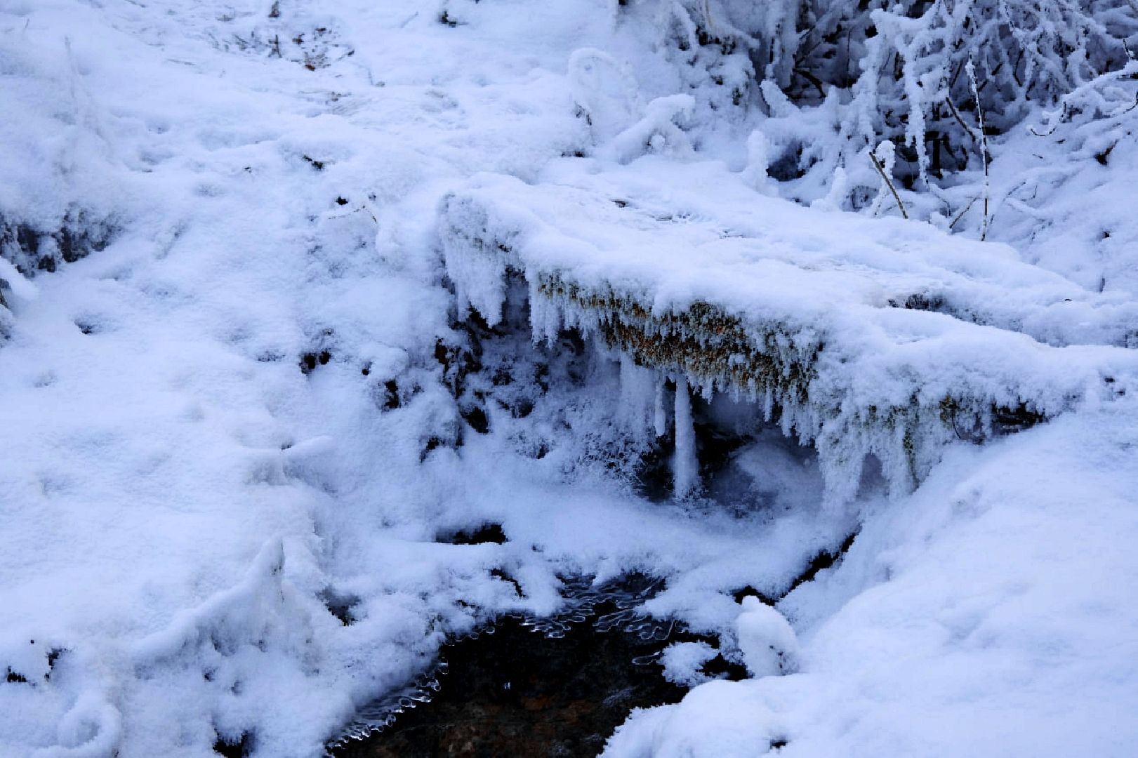 Пущино, экология, туризм, зима, подмосковье,